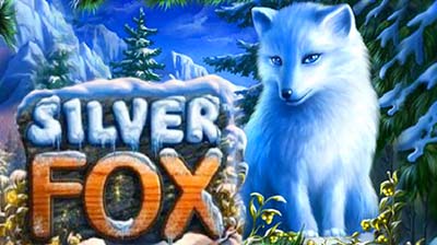 Silver Fox